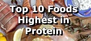 10 best protein sources 